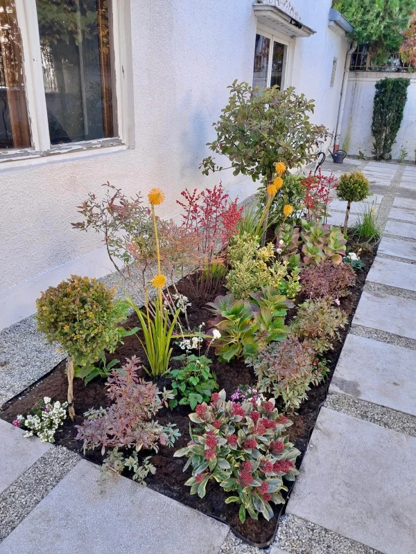 Amenajare si intretinere gradina exterioara - hortensie, azalee, ienupar