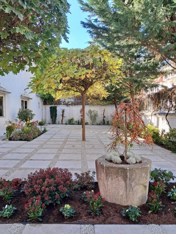 Amenajare si intretinere gradina exterioara - hortensie, azalee, ienupar