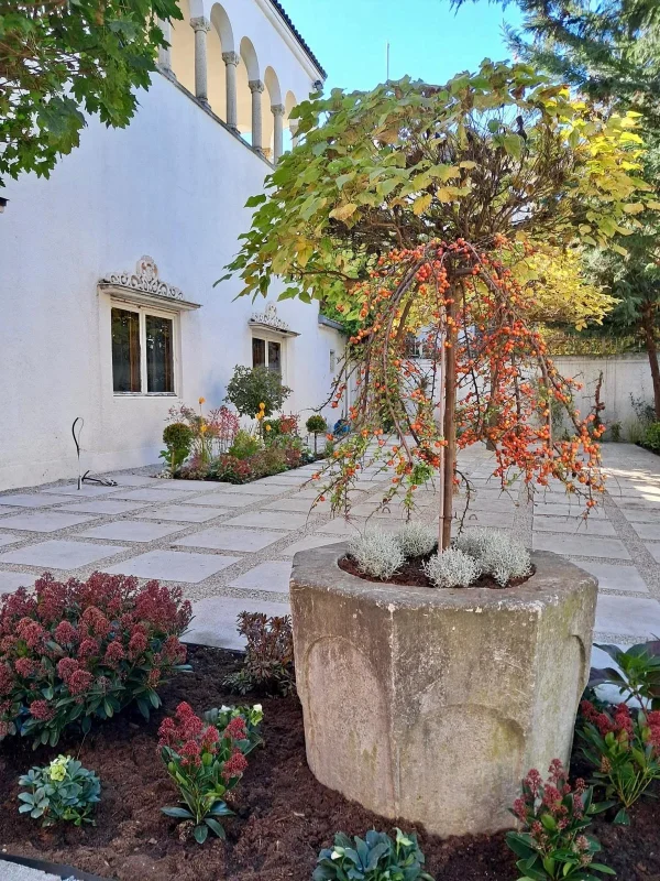 Amenajare si intretinere gradina exterioara - hortensie, azalee, ienupar