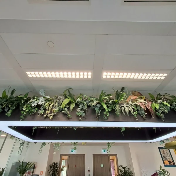 Amenajari elegante cu Plante Artificiale - Amenajari spatii birouri cu plante artificiale