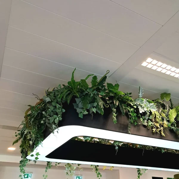 Amenajari elegante cu Plante Artificiale - Amenajari spatii birouri cu plante artificiale