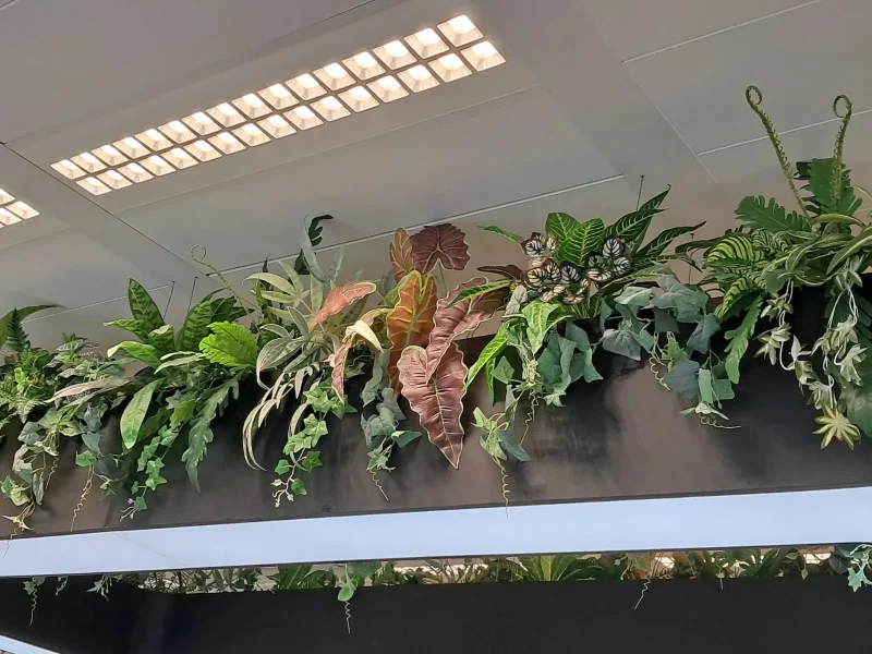 Amenajari elegante cu Plante Artificiale - Amenajari spatii birouri cu plante artificiale