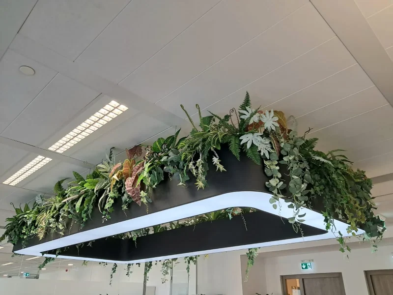 Amenajari elegante cu Plante Artificiale - Amenajari spatii birouri cu plante artificiale