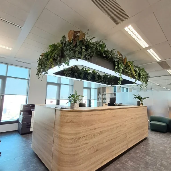Amenajari elegante cu Plante Artificiale - Amenajari spatii birouri cu plante artificiale