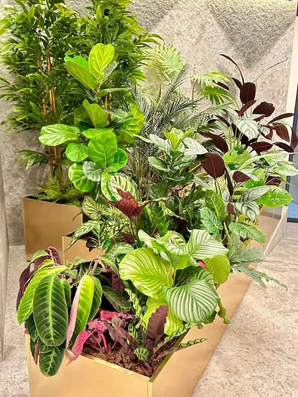Design Biophilic in absenta luminii naturale