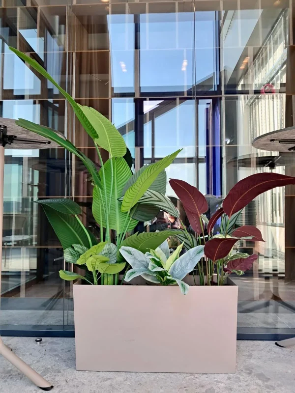 Design Biophilic in absenta luminii naturale