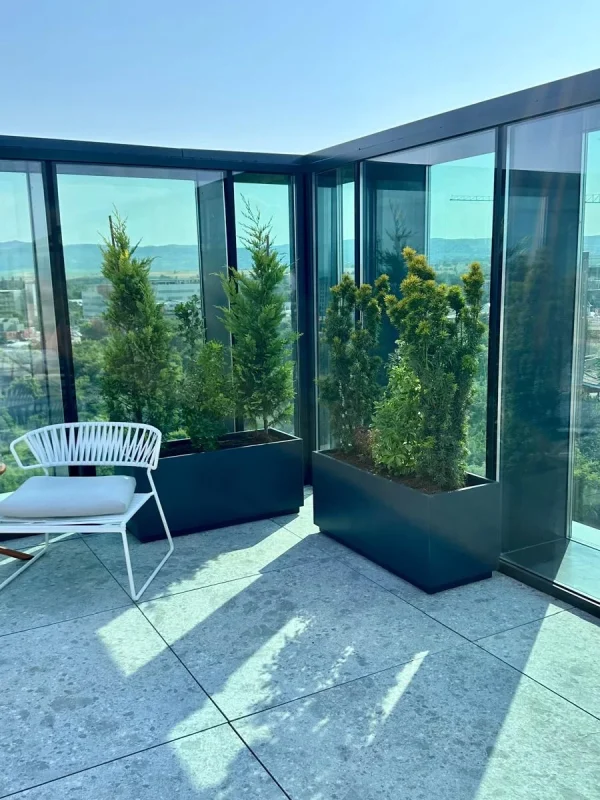 Design Biophilic in absenta luminii naturale