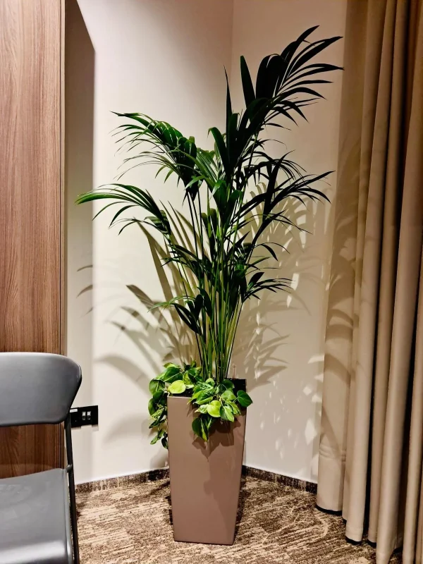 Design Biophilic in absenta luminii naturale