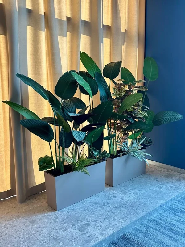 Design Biophilic in absenta luminii naturale