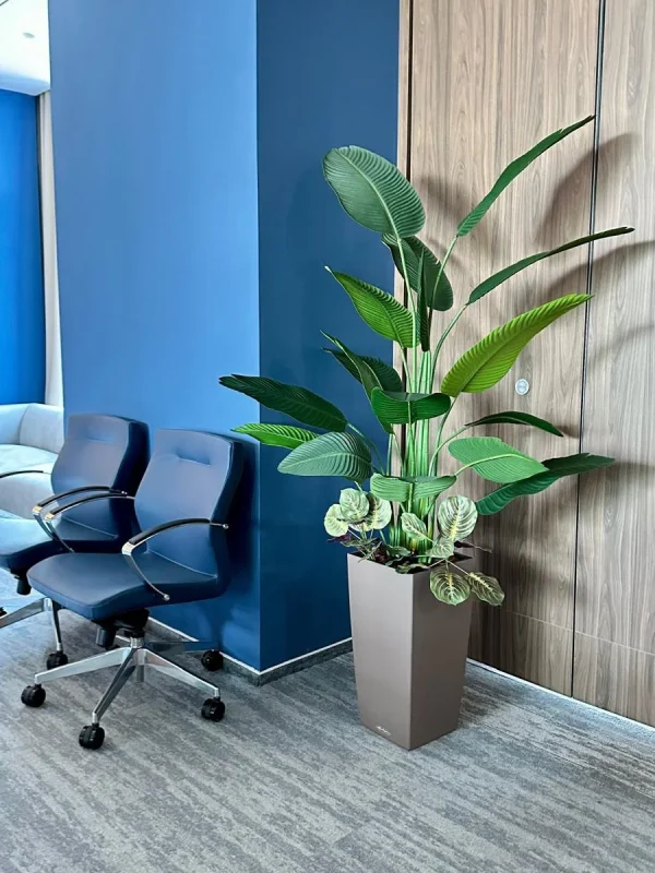 Design Biophilic in absenta luminii naturale