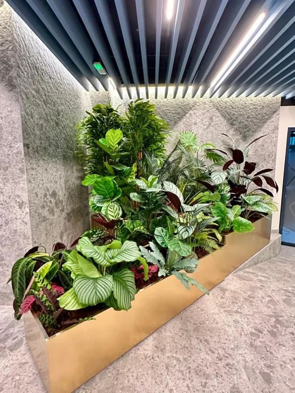 Design Biophilic in absenta luminii naturale