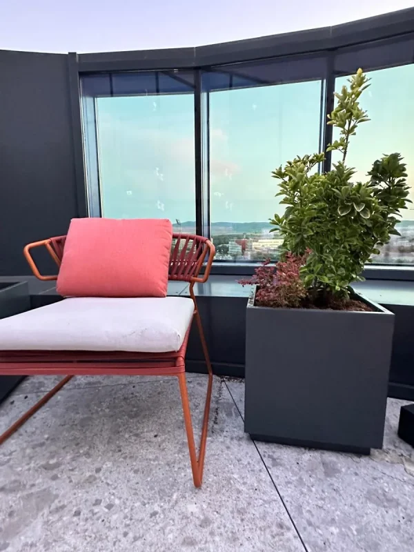 Design Biophilic in absenta luminii naturale
