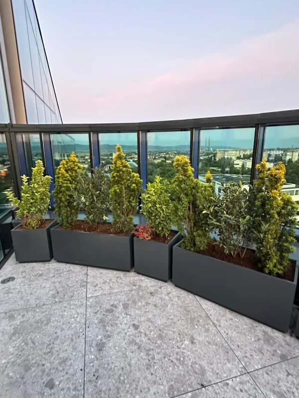 Design Biophilic in absenta luminii naturale