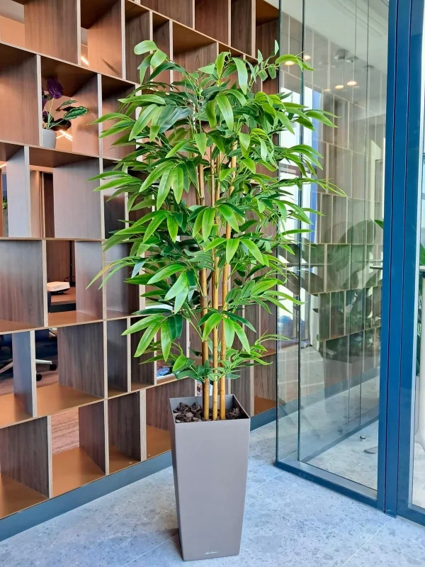 Design Biophilic in absenta luminii naturale