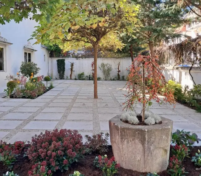 Amenajare si intretinere gradina exterioara - hortensie, azalee, ienupar