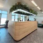 Amenajari elegante cu Plante Artificiale - Amenajari spatii birouri cu plante artificiale