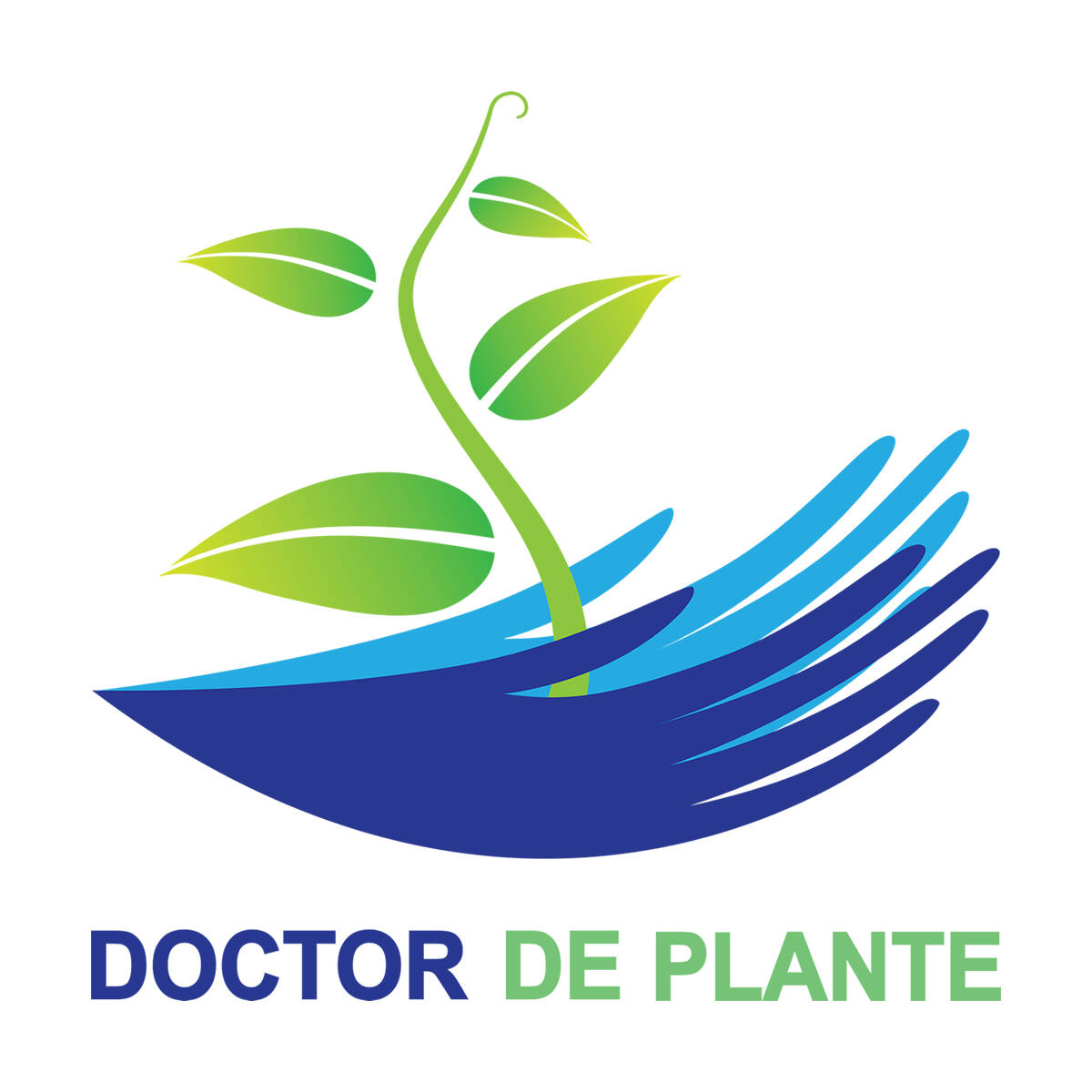 Doctor De Plante