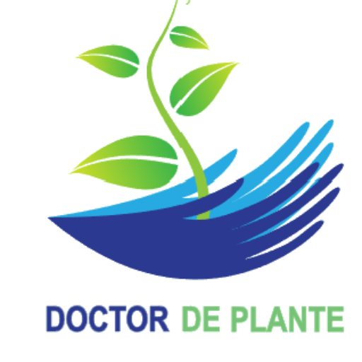Doctor De Plante