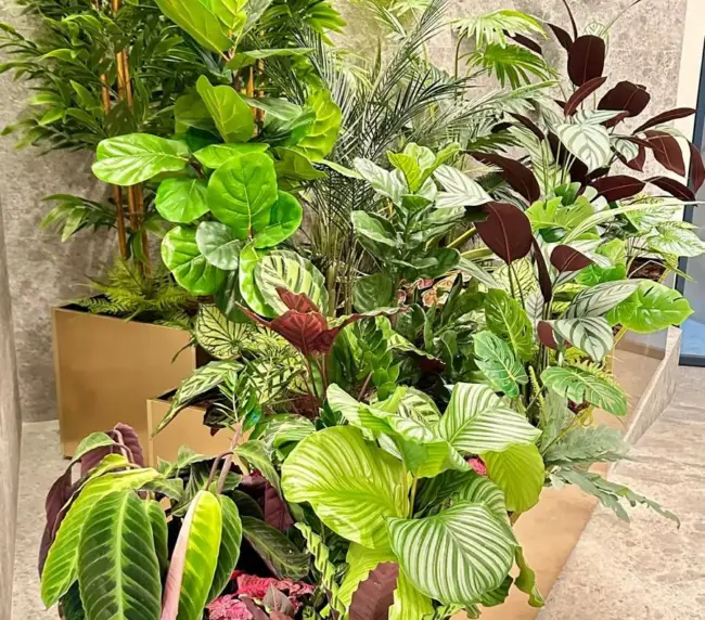 Design Biophilic in absenta luminii naturale