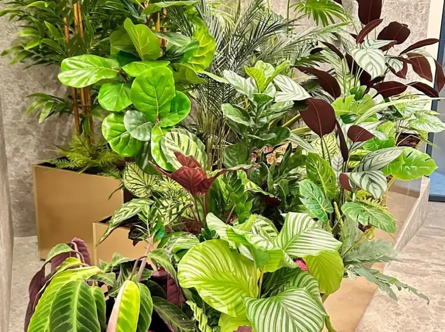 Design Biophilic in absenta luminii naturale