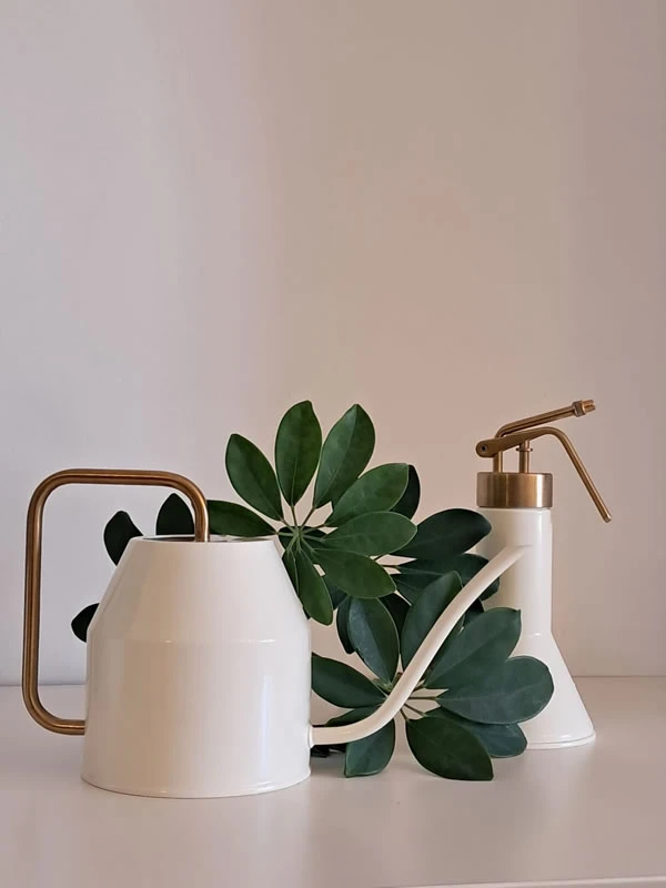 Misiunea Doctor de Plante
