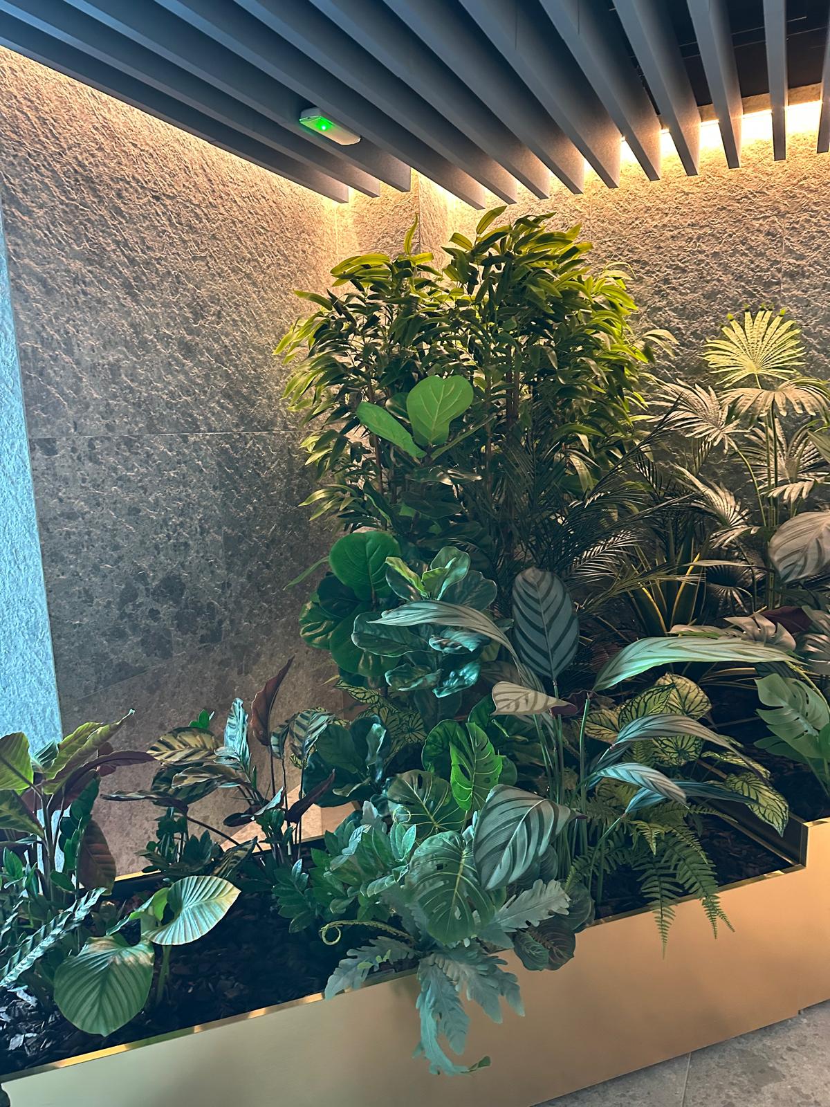 Separatoare verzi cu plante artificiale pentru birouri