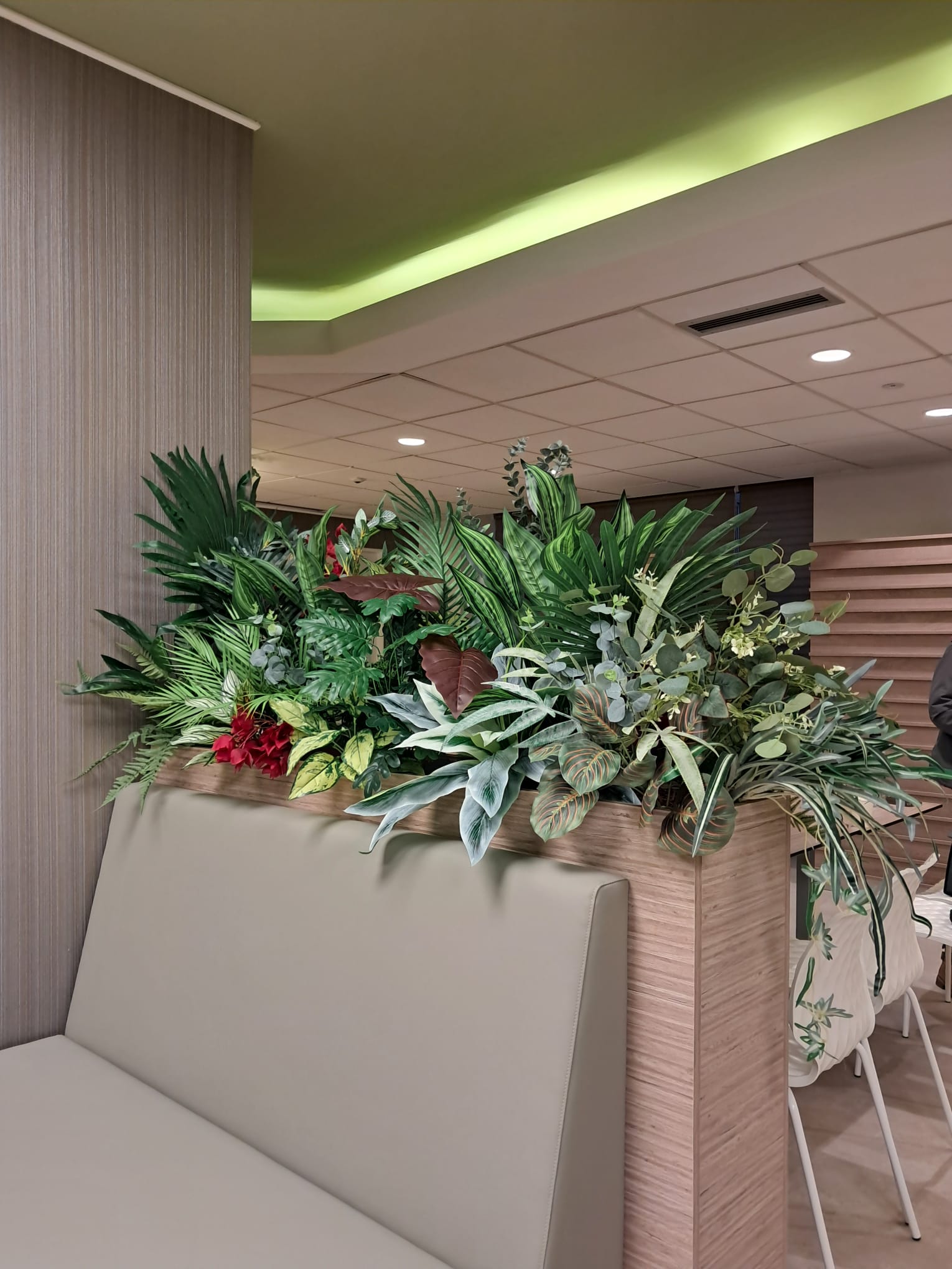 Ficus Amstel King cu trunchi împletit integrat în amenajarea zonei de dining