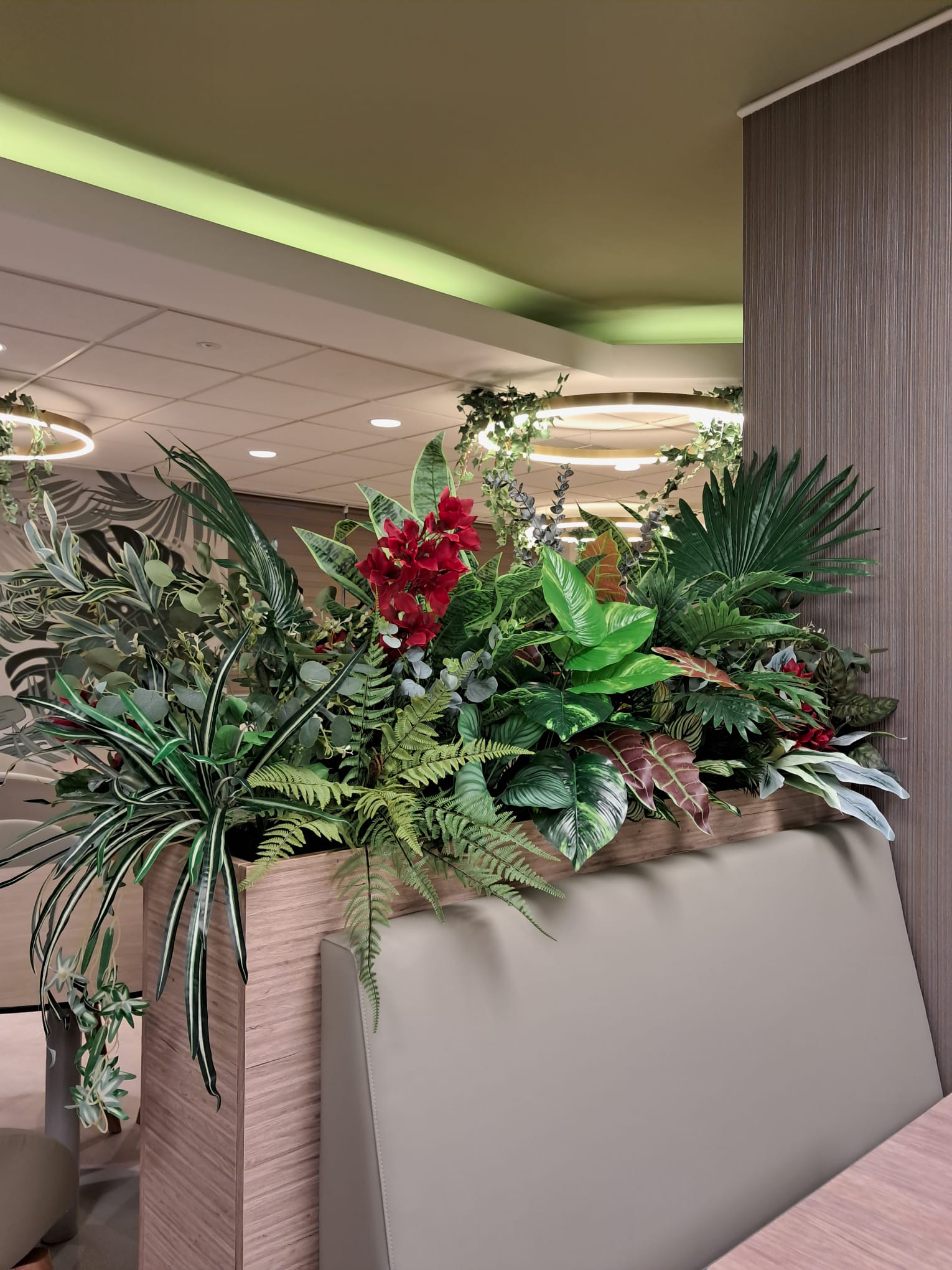 Plante naturale decorative în zona de dining office
