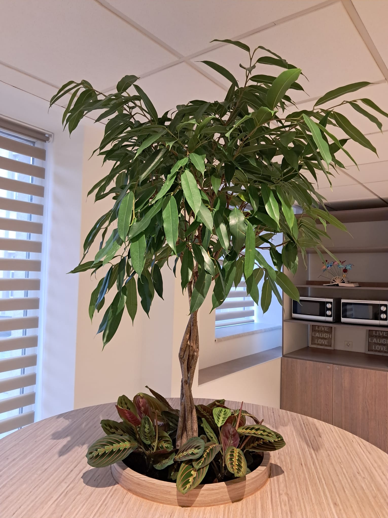 Amenajare cu jardiniere decorative și plante artificiale premium