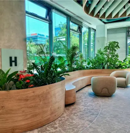 Inima Verde a Biroului - Amenajare cu Jardiniera Masiva